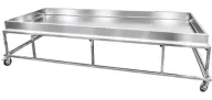 Flat Tray Dipping Tank, photo 1